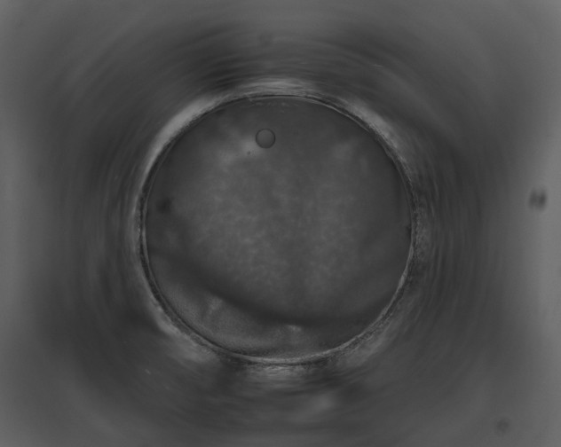 X0000095671474200801151053