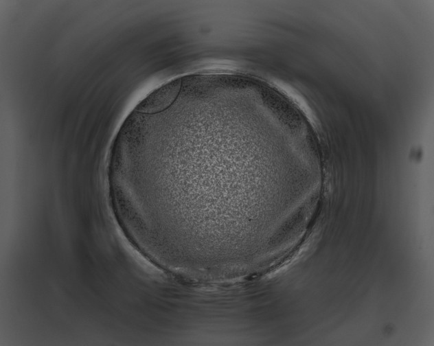 X0000095671475200801151053