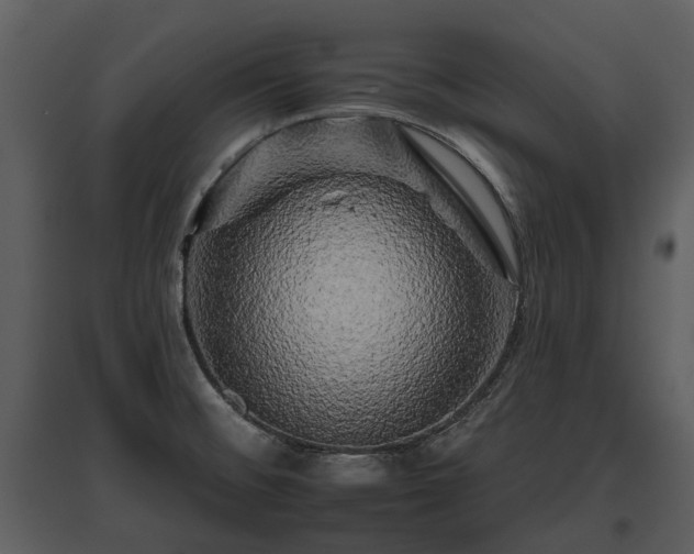 X0000095671476200801151053