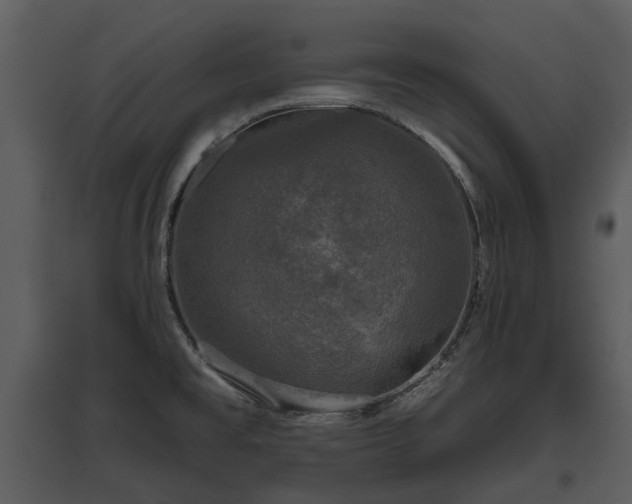 X0000095671477200801151053