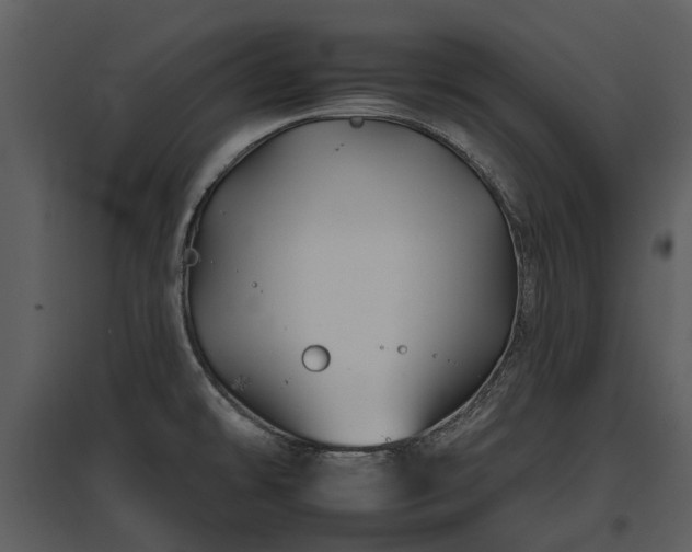 X0000095671478200801151053