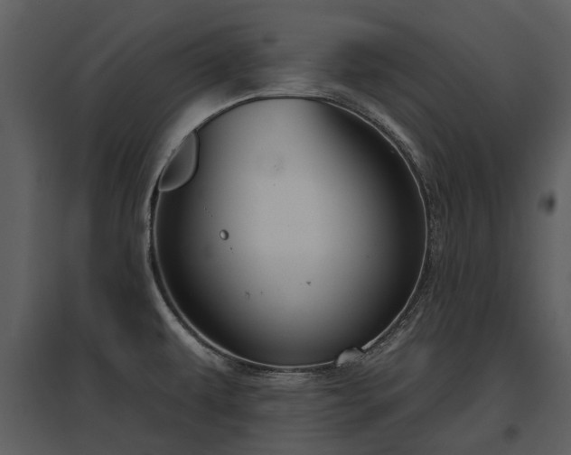 X0000095671479200801151053