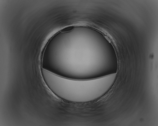 X0000095671480200801151053