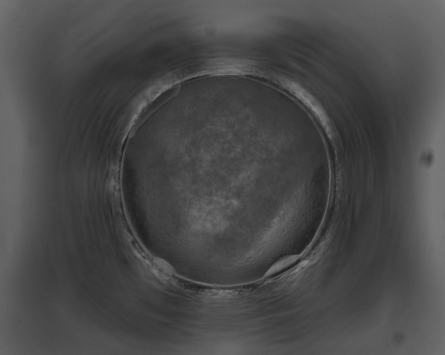 X0000095671481200801151053