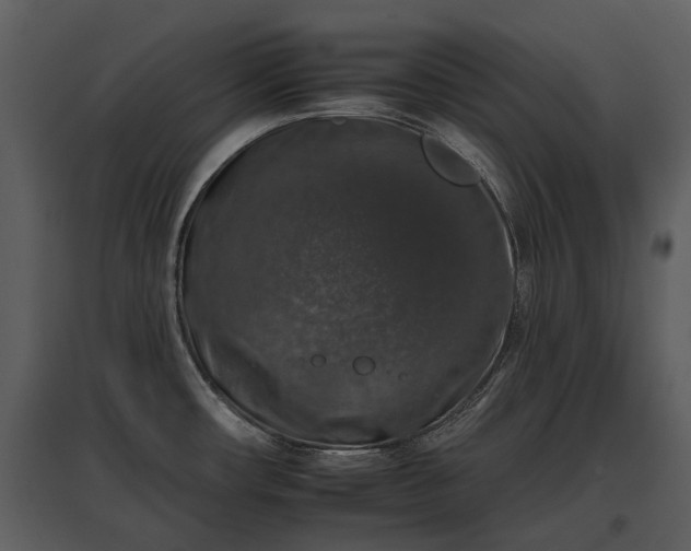 X0000095671482200801151053