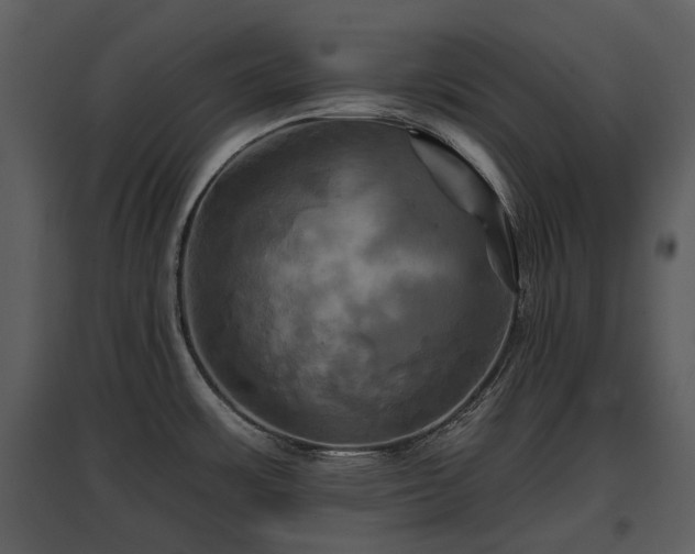 X0000095671483200801151053