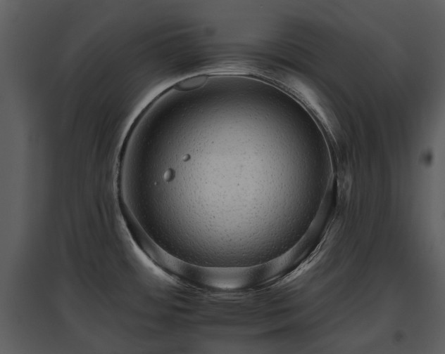 X0000095671484200801151053