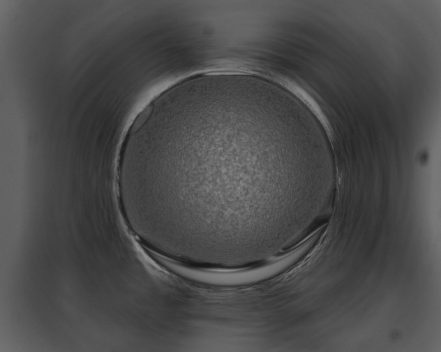 X0000095671485200801151053