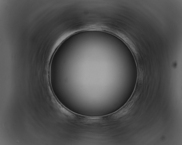 X0000095671486200801151053