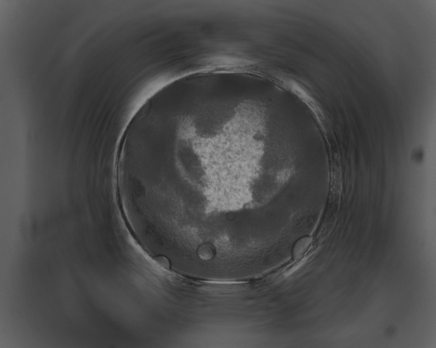 X0000095671487200801151053