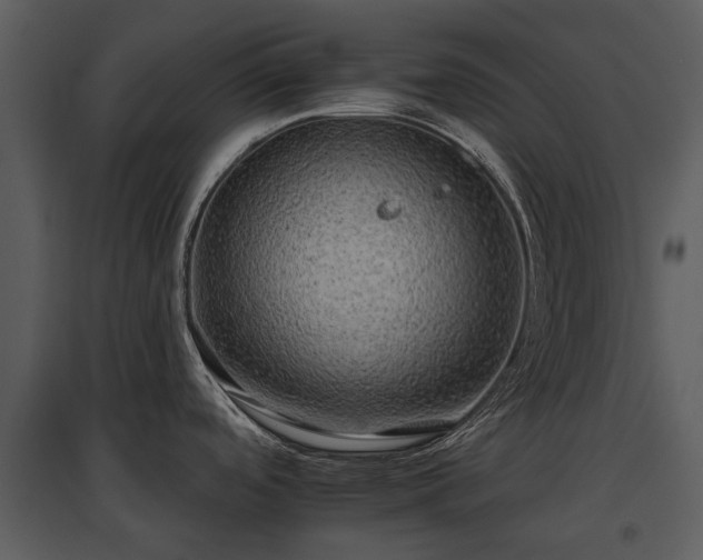 X0000095671488200801151052