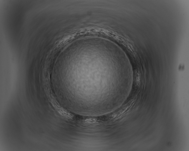 X0000095671489200801151052