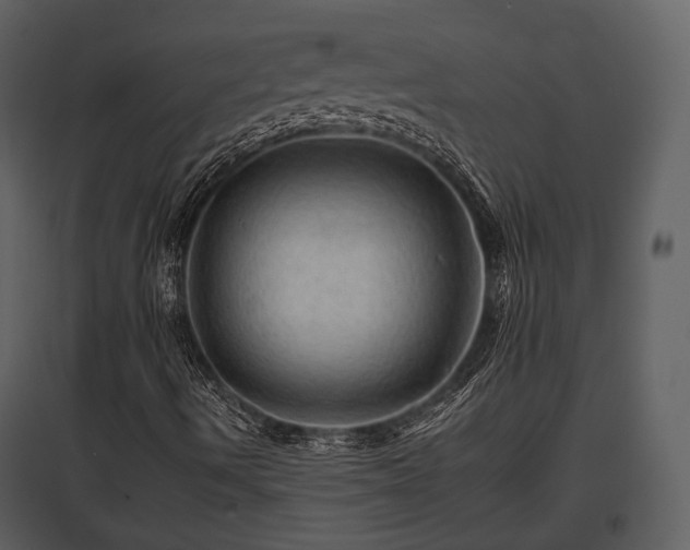 X0000095671490200801151052