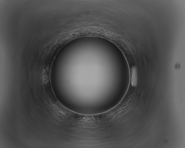 X0000095671491200801151052