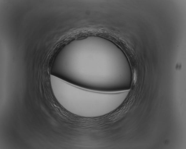 X0000095671492200801151052