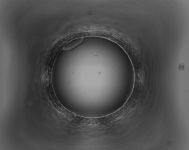 X0000095671493200801151052