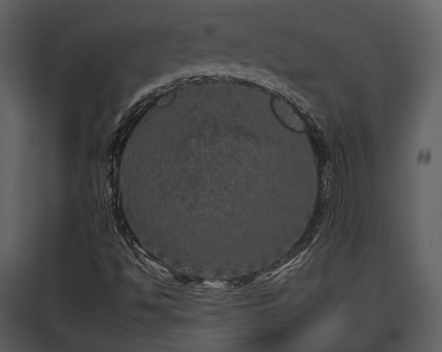 X0000095671494200801151052