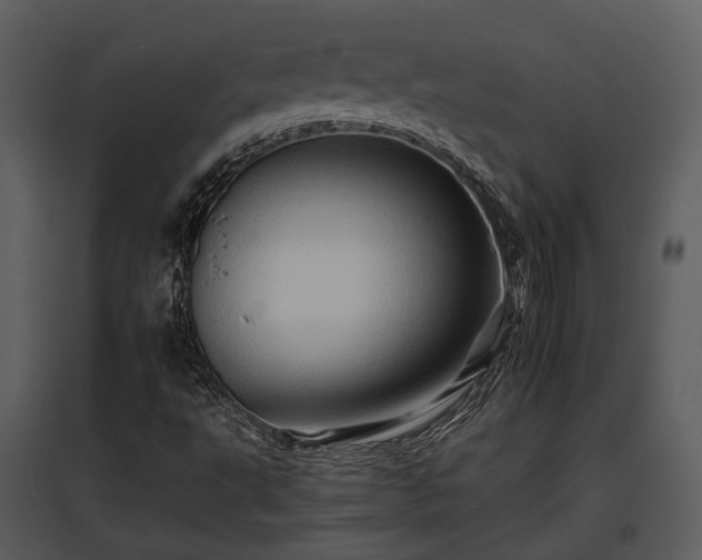 X0000095671495200801151052