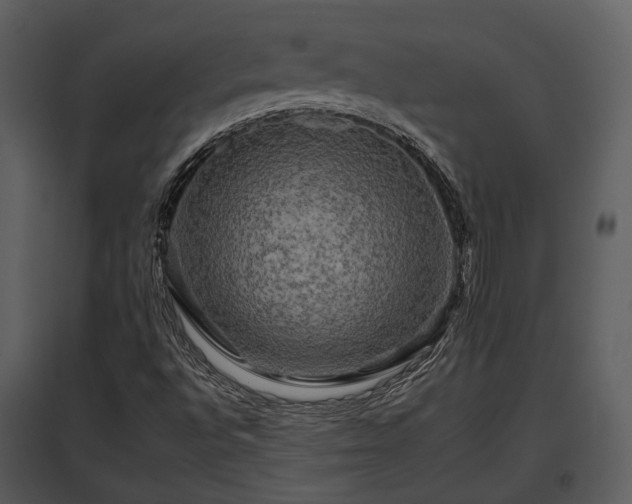 X0000095671496200801151052