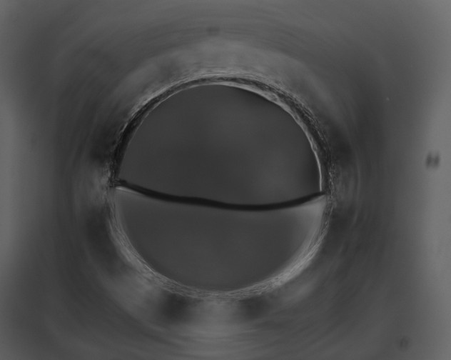 X0000095671497200801151052