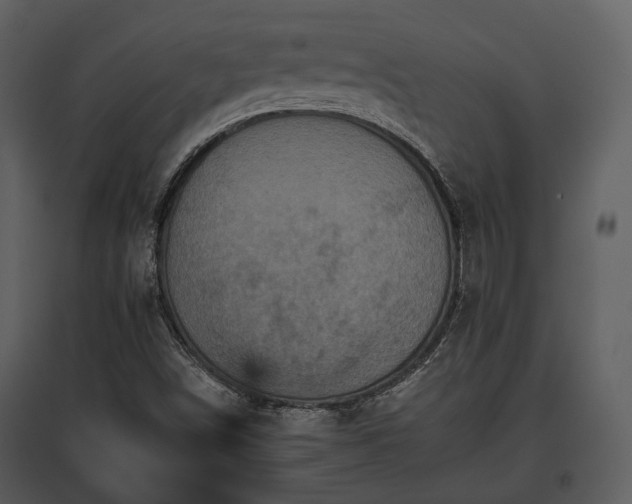 X0000095671498200801151052