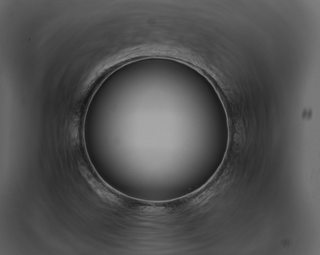 X0000095671499200801151052