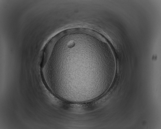 X0000095671500200801151052