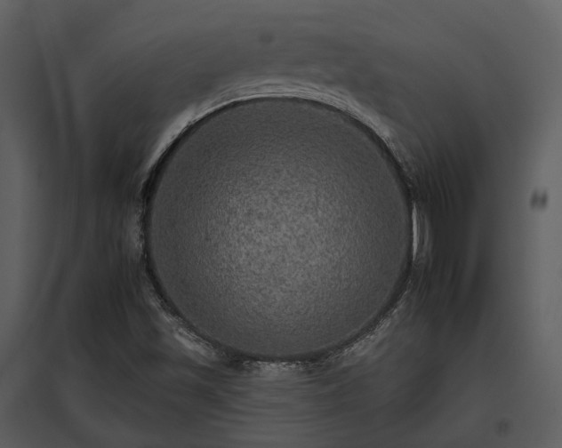 X0000095671501200801151052