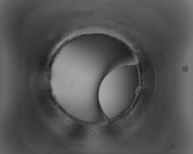 X0000095671502200801151052