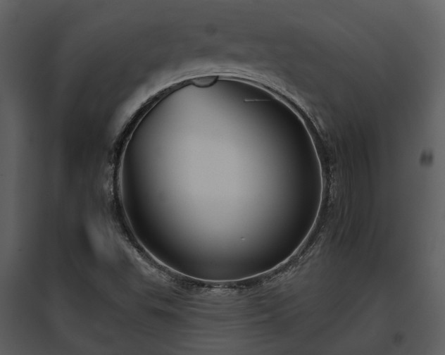 X0000095671503200801151052