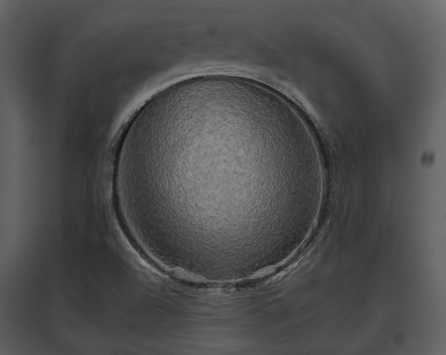 X0000095671504200801151052