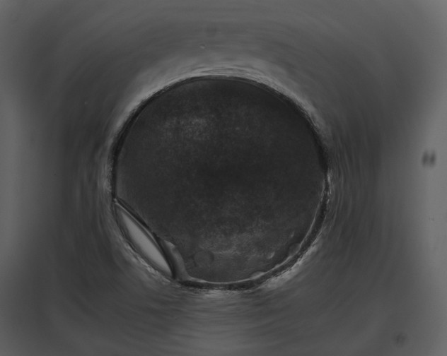 X0000095671506200801151052