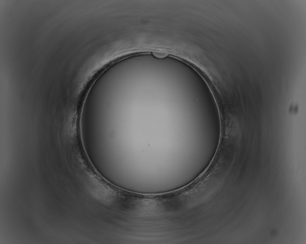 X0000095671507200801151052