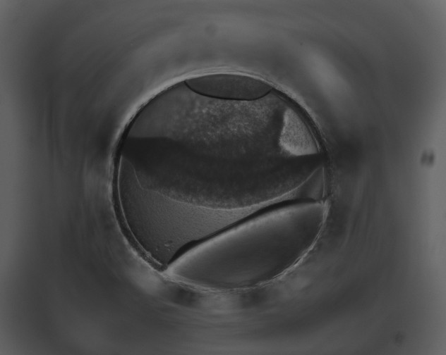 X0000095671508200801151052