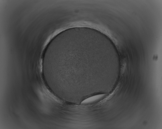 X0000095671509200801151052