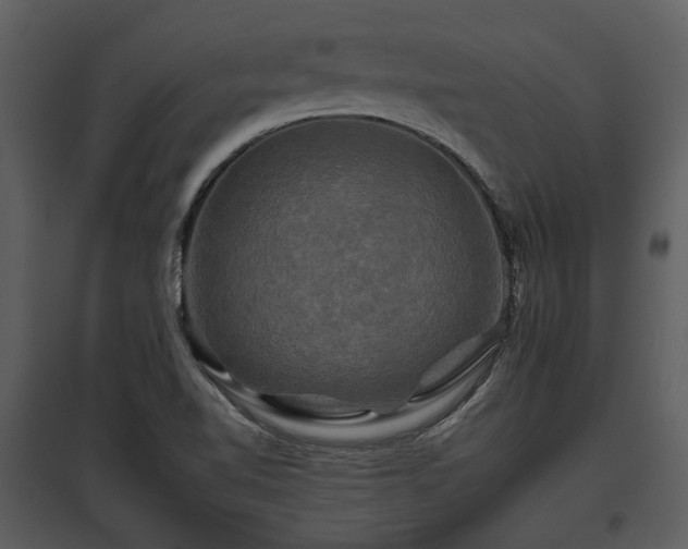 X0000095671510200801151052