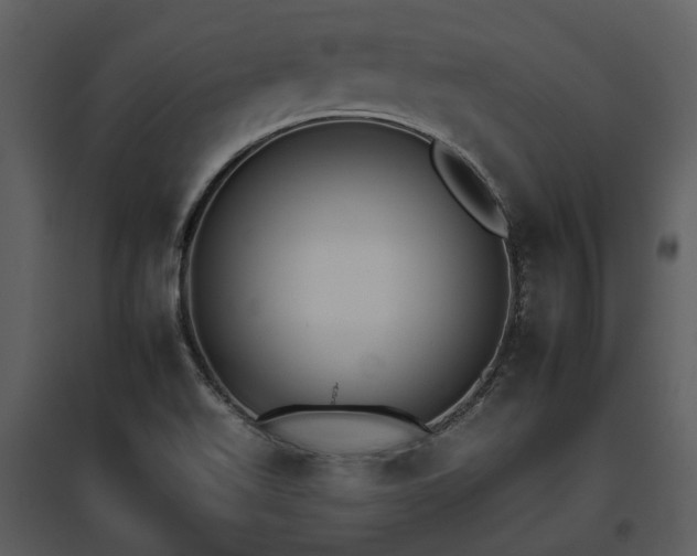 X0000095671511200801151052