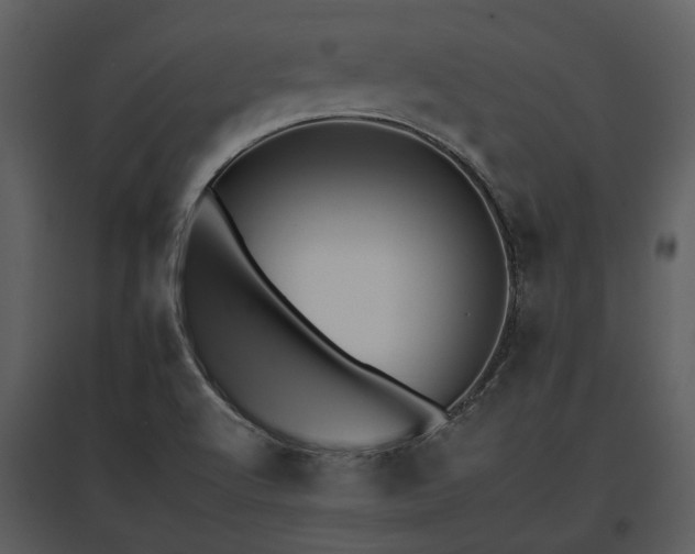 X0000095671512200801151052