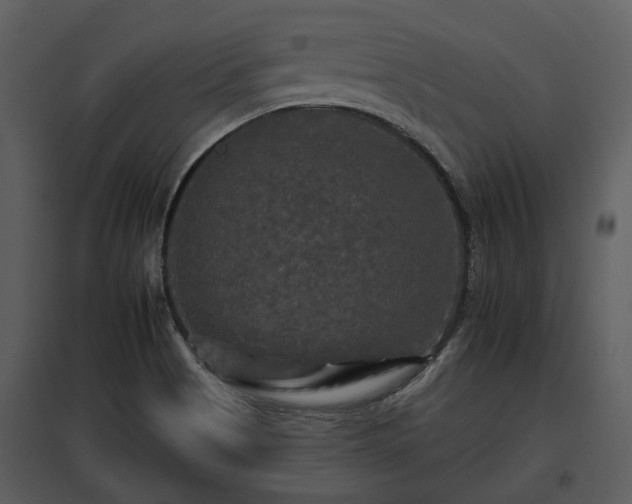 X0000095671513200801151052