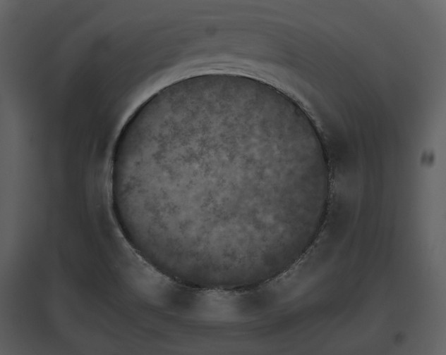 X0000095671514200801151052