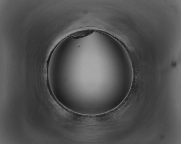 X0000095671516200801151052