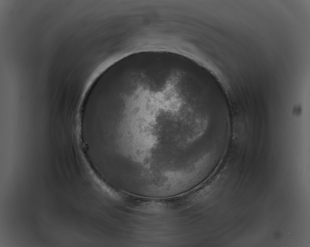 X0000095671517200801151052