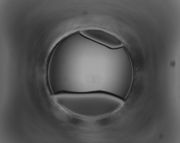 X0000095671518200801151052