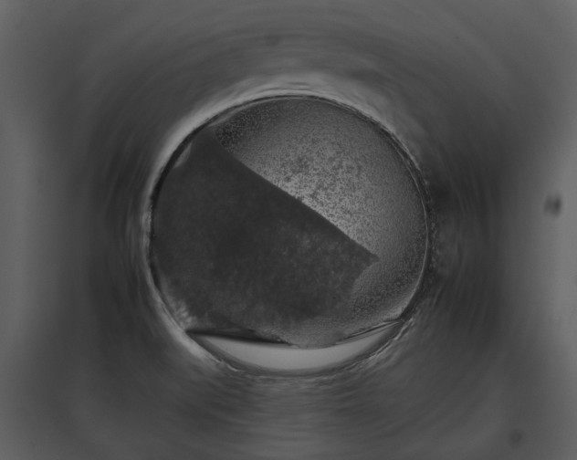 X0000095671519200801151052