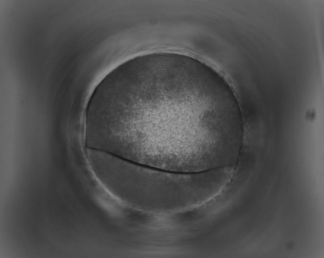 X0000095671520200801151052