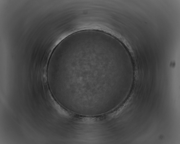 X0000095671521200801151052