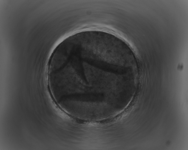 X0000095671522200801151052