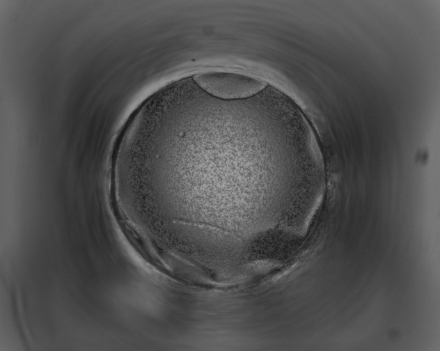 X0000095671523200801151052