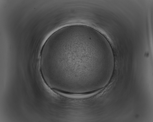 X0000095671524200801151052