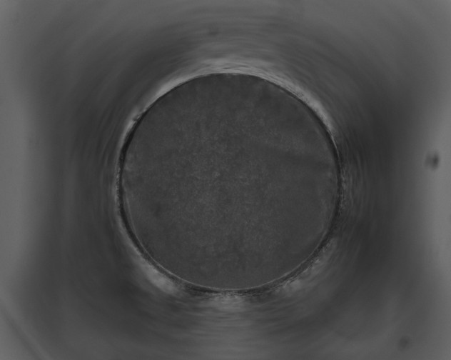 X0000095671525200801151052